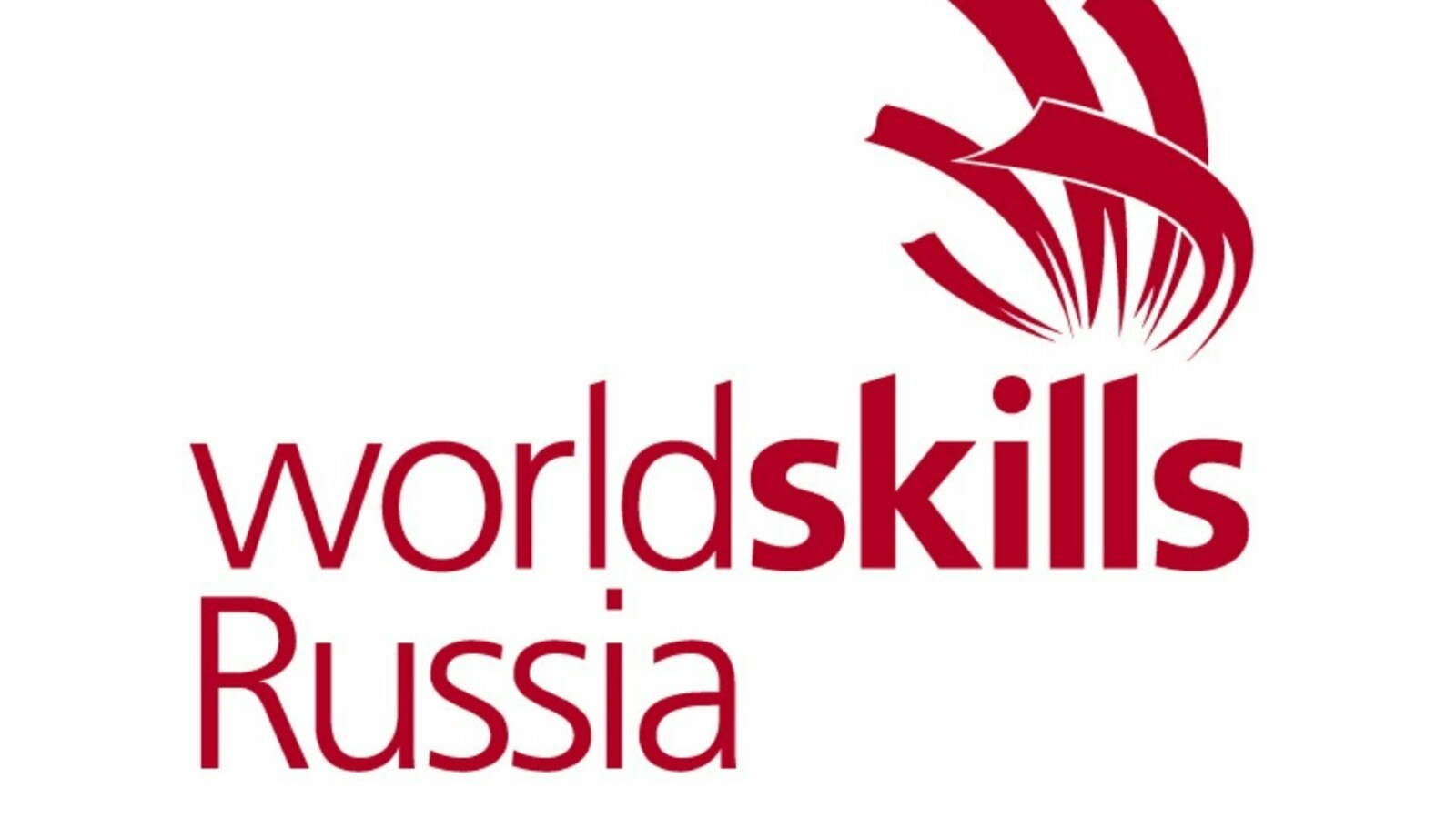 Путин назвал блестящим результат российской сборной WorldSkills