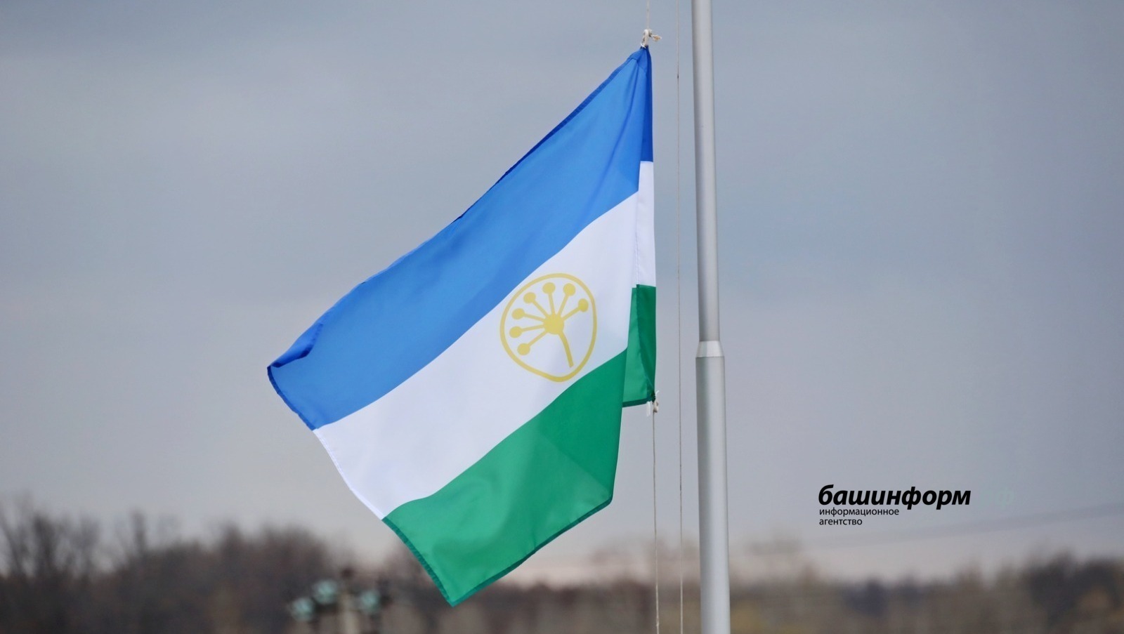 Башкирия вошла в топ-5 регионов России по социально-экономическому развитию