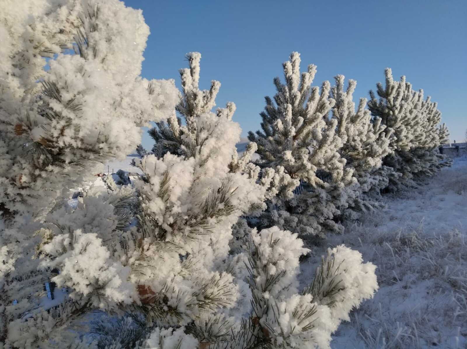 В Башкирии прогнозируются 34-градусные морозы