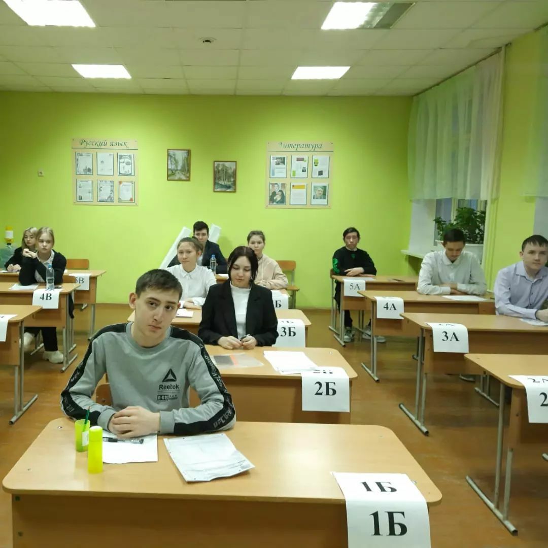 Какие предметы для сдачи ЕГЭ и ОГЭ выбирают альшеевские школьники