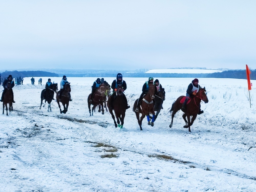 В Альшеевском районе прошли захватывающие зимние конноспортивные скачки