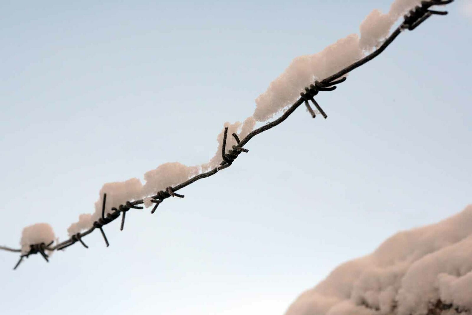 В Башкирии курьера мошенников отправили в колонию