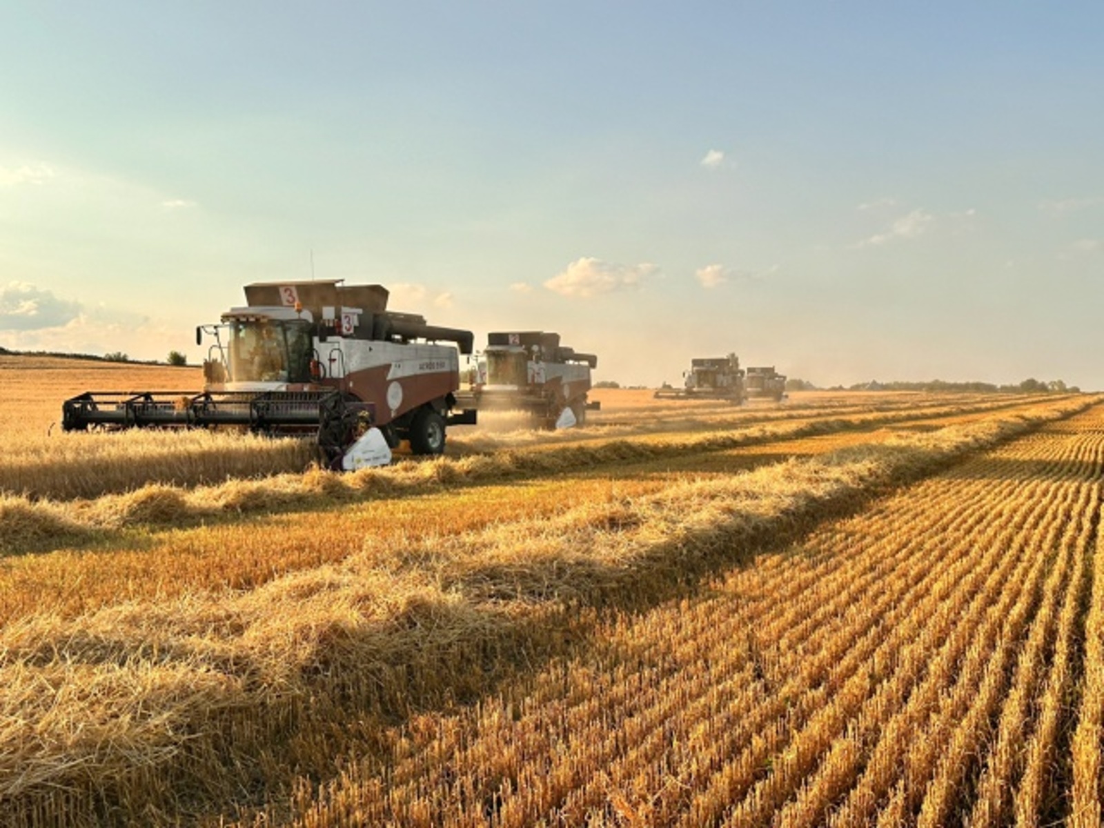 АПК Альшеевского района: главные достижения аграриев в 2025 году