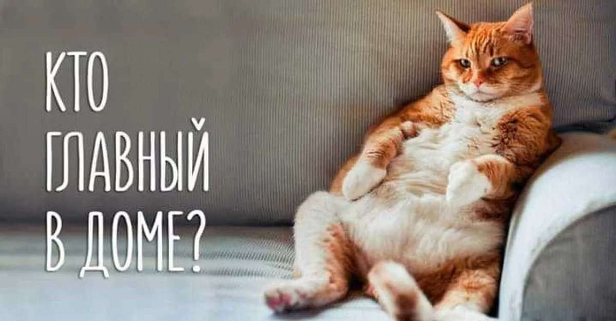 Иногда самые обычные даты, как 8 августа оказываются удивительными и радостными