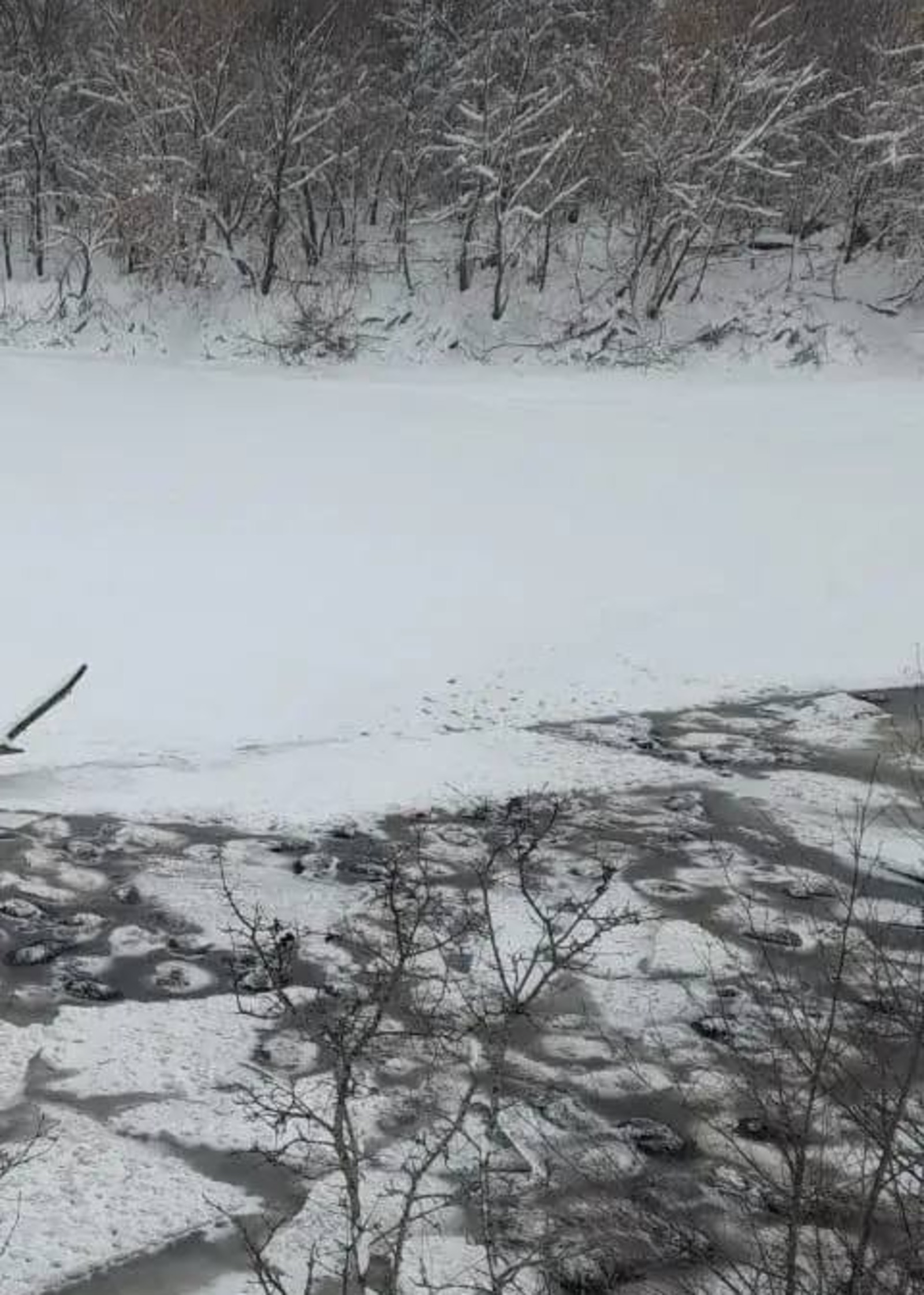 200 баранов провалились по лед в Башкирии