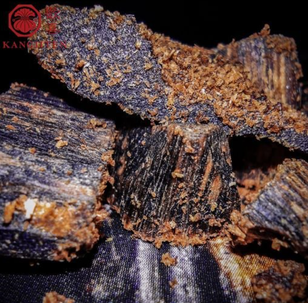 Самое дорогое дерево на планете