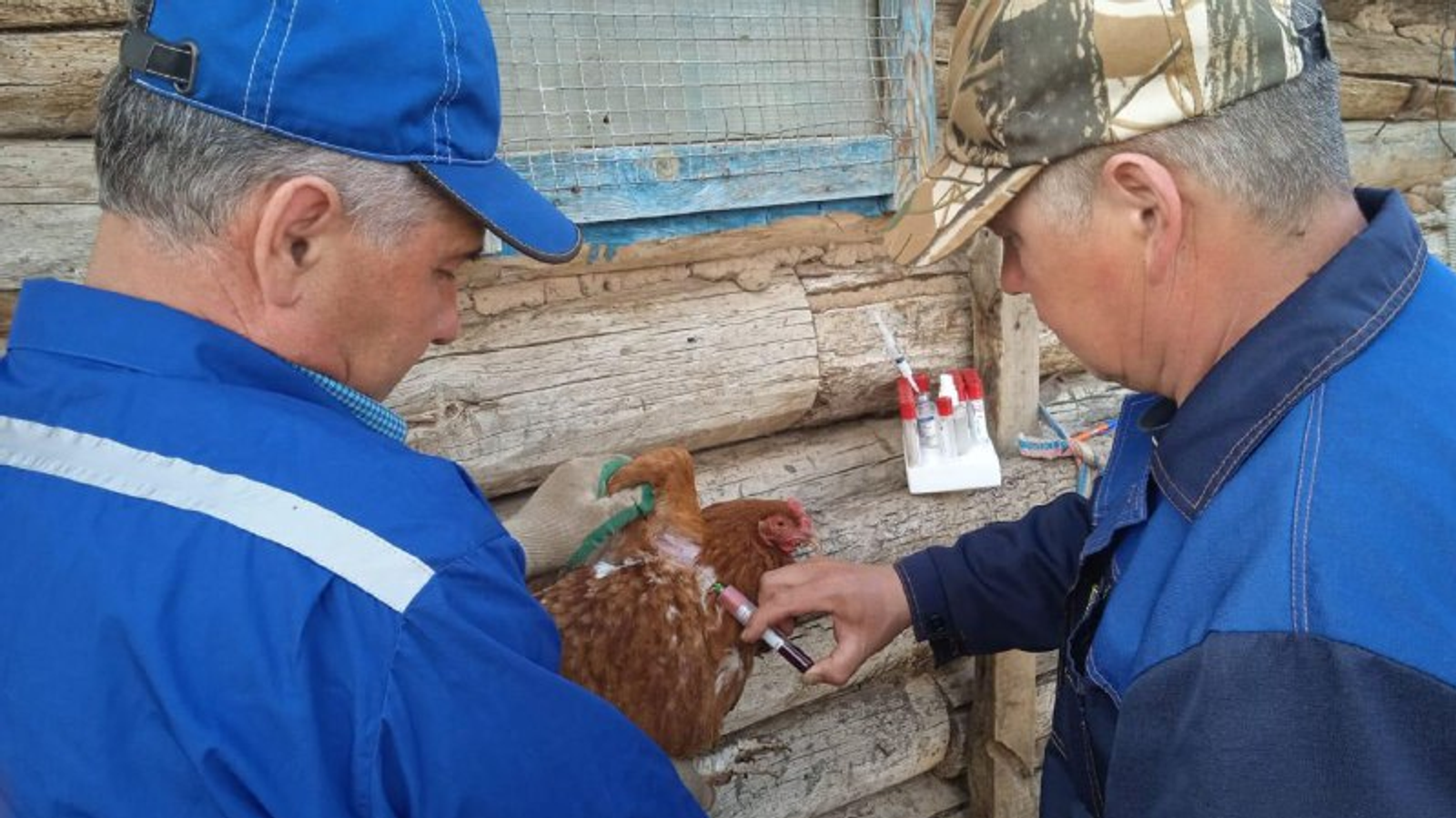 Защитим поголовье вместе