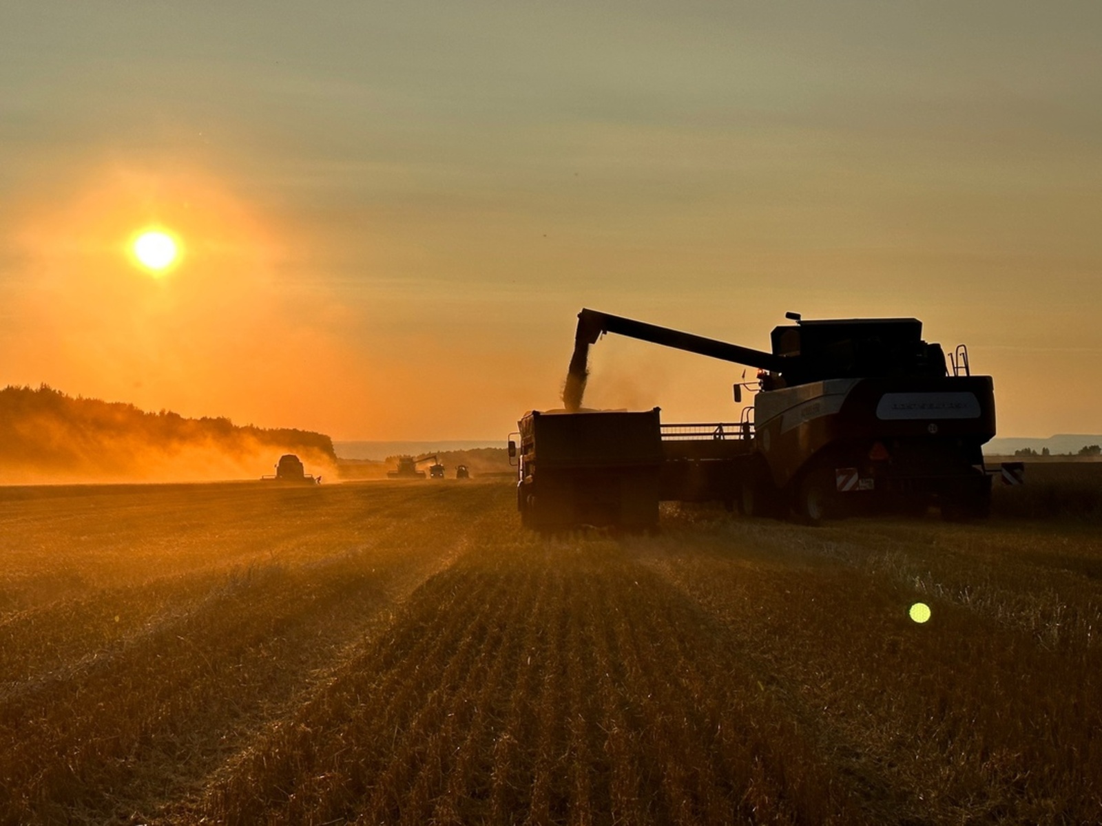 В Альшеевском районе назвали лучших комбайнеров на уборке зерновых культур
