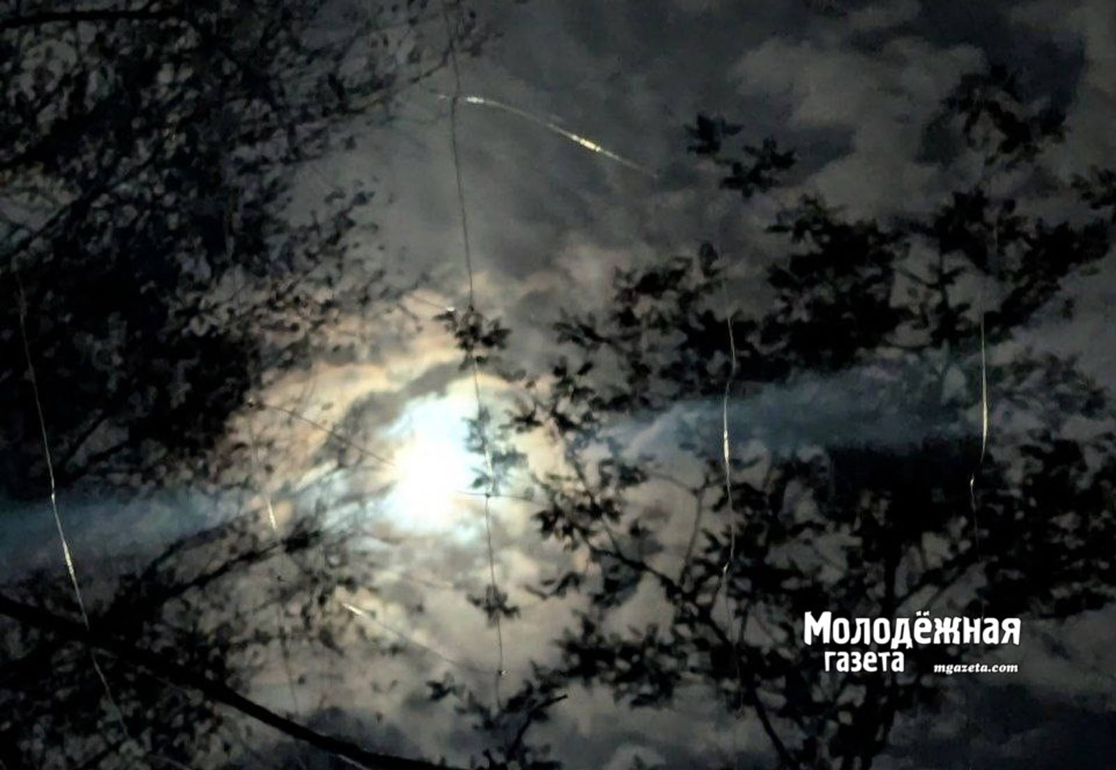 «Глаза» на СВО. Как работают башкирские «птичники»