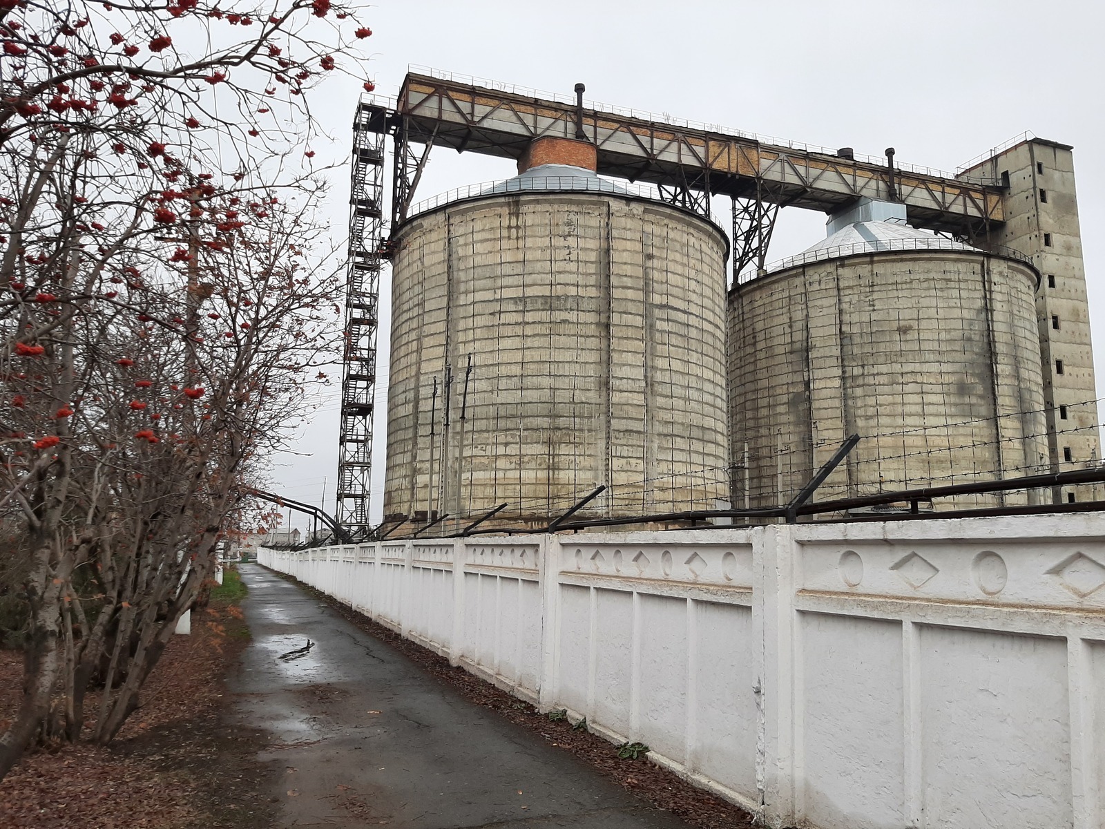 На Раевском сахарном заводе произведено 112 тысяч тонн сахара