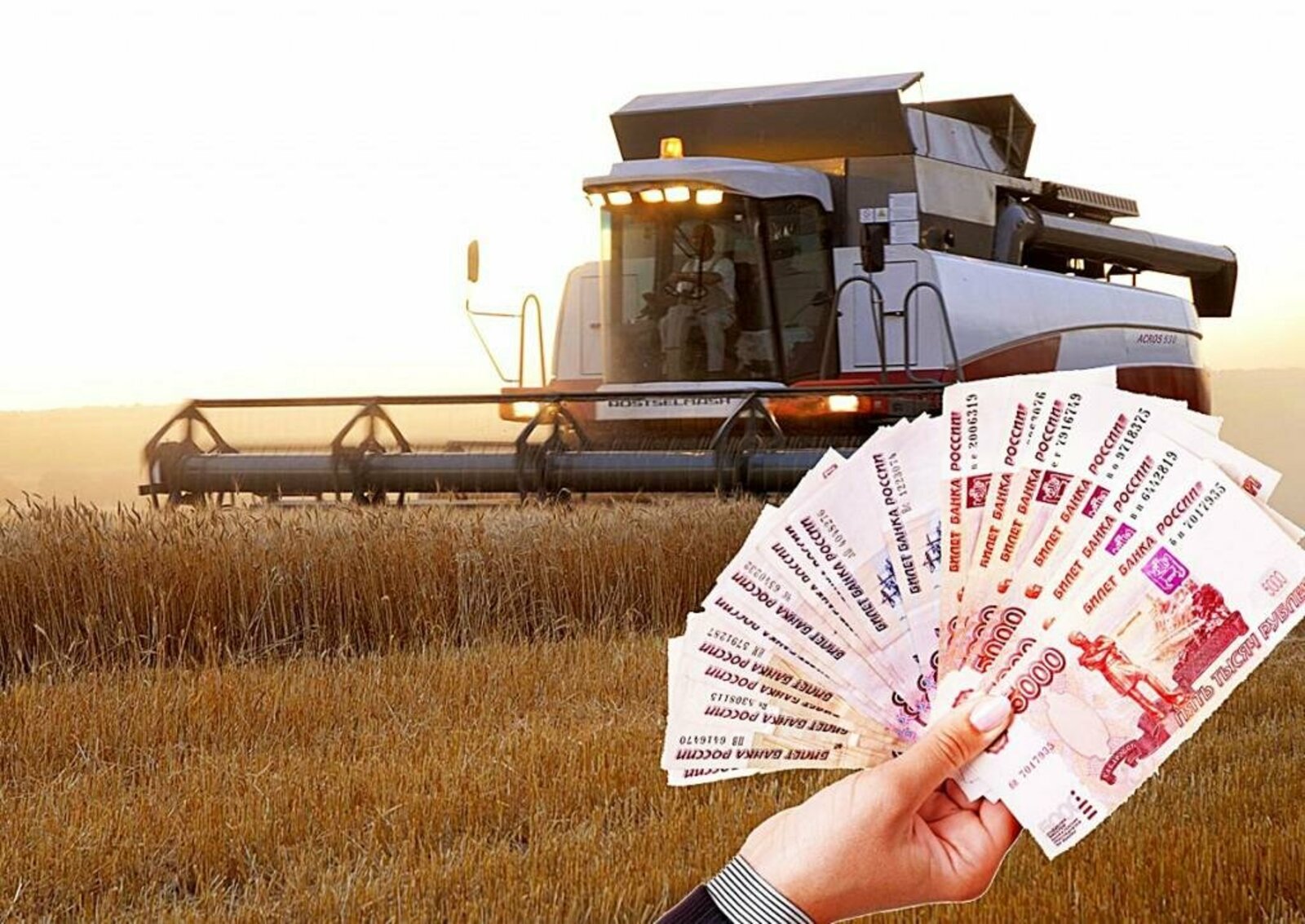 Российским регионам рекомендовано ускорить доведение субсидий до сельхозпроизводителей