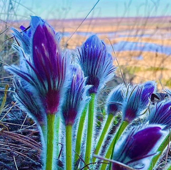 Как работаем и отдыхаем на Первомай?