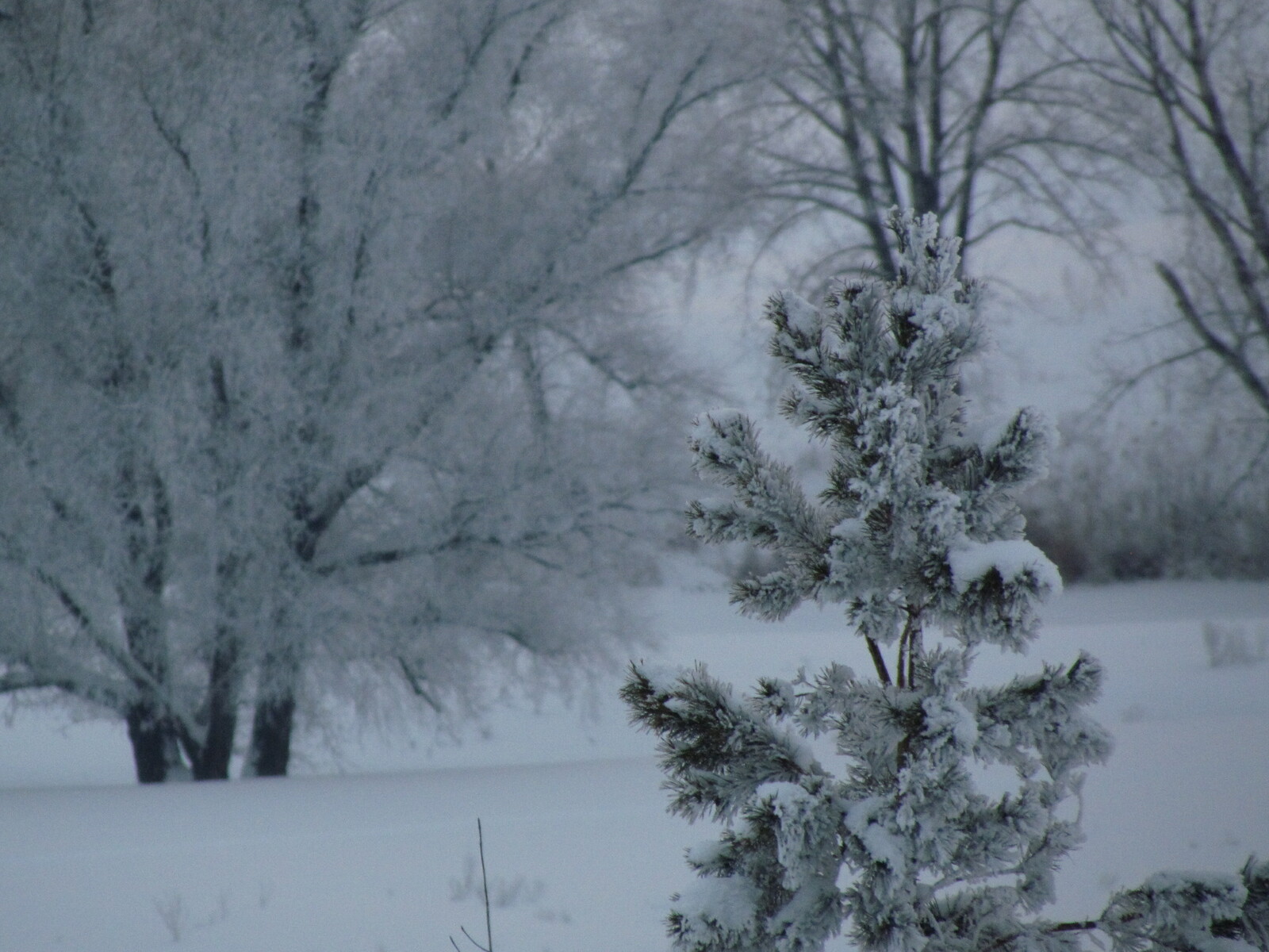 В Башкирии объявили штормовое предупреждение