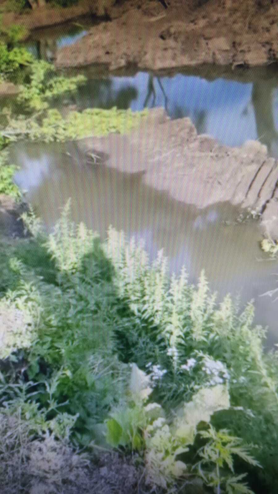 Певец Анвар Нургалиев строит мини-парк в деревне Аврюзтамак