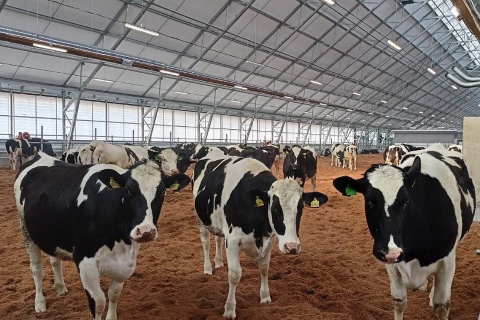 Республика получила средства на генетические исследования скота