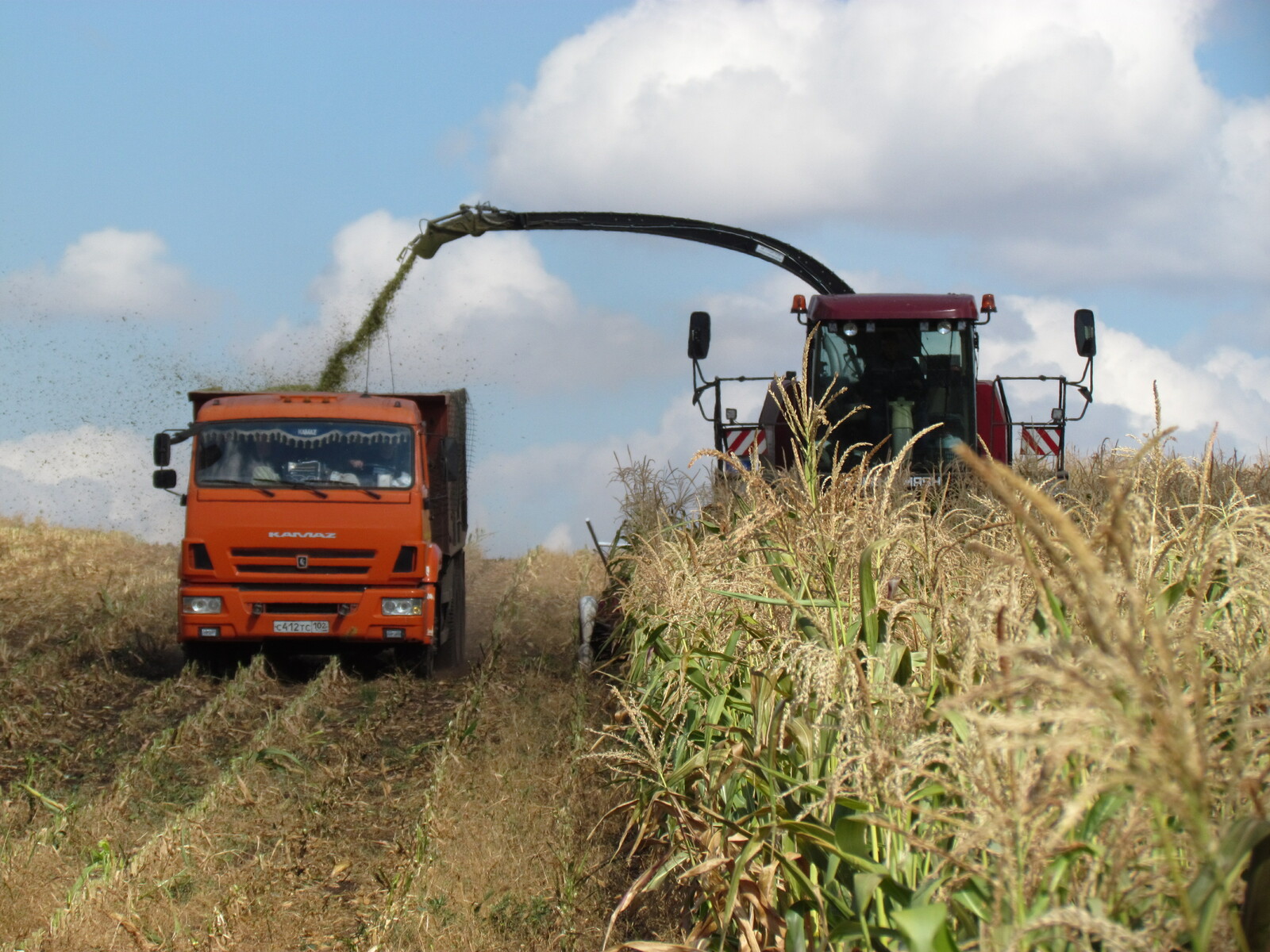 Альшеевские аграрии планируют засеять в этом сезоне 85 тысяч гектаров площади