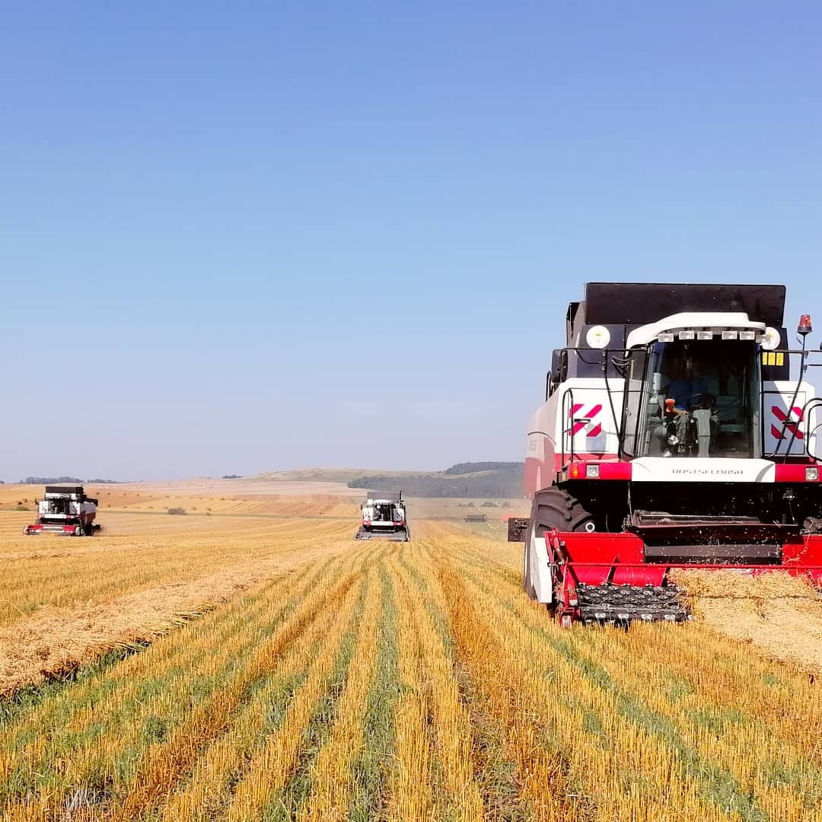 Альшеевские аграрии убрали более половины площадей зерновых культур