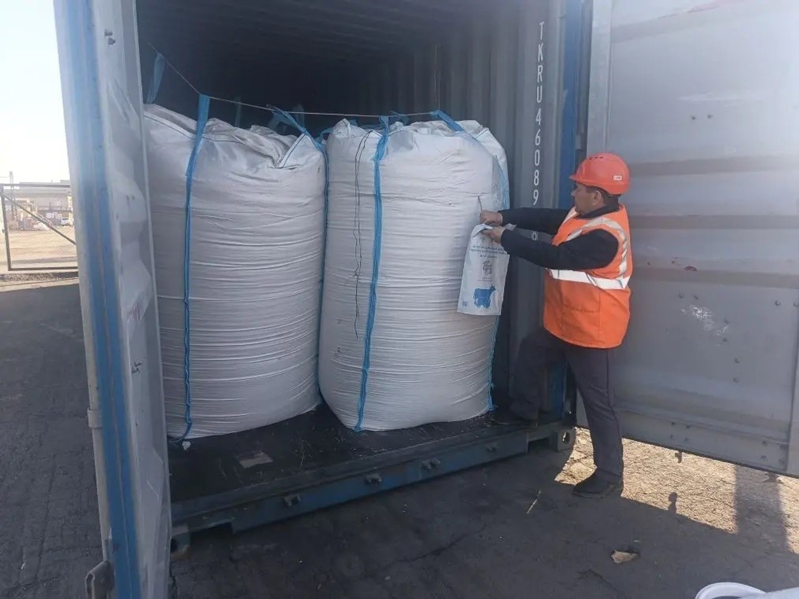 Башкирия отправила более тысячи тонн овса на экспорт в Китай