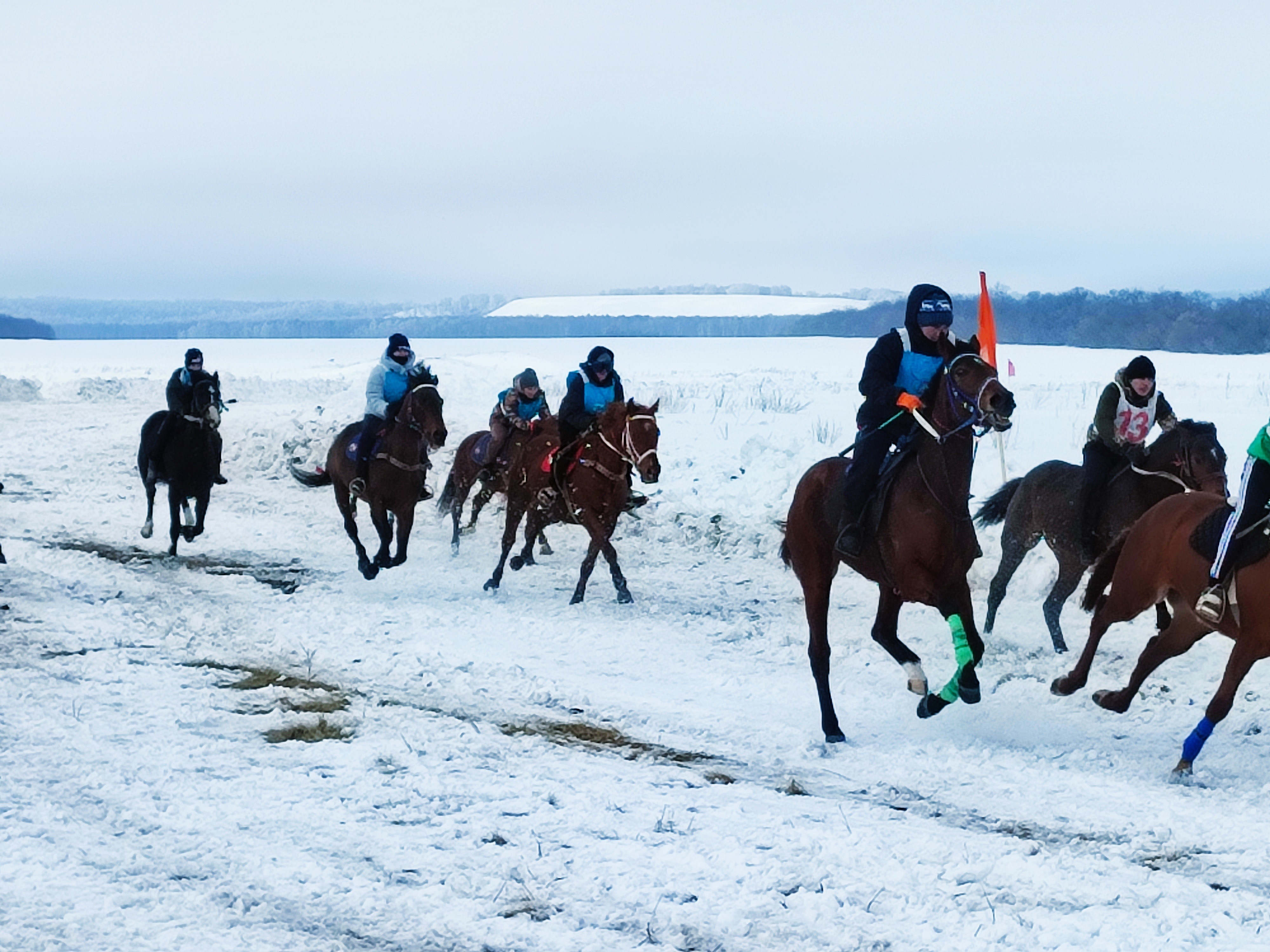В Альшеевском районе прошли захватывающие зимние конноспортивные скачки