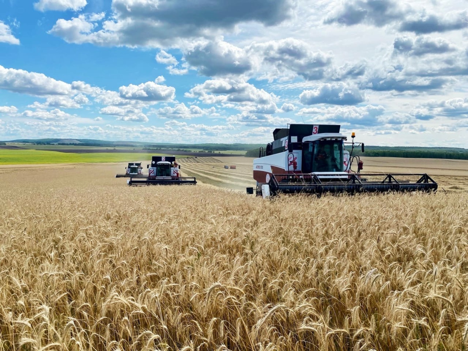Поехали! - альшеевские аграрии дали старт уборочной страде