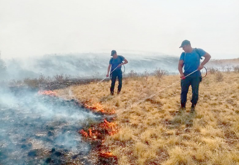 На территории республики продолжают действовать 23 очага лесных пожаров