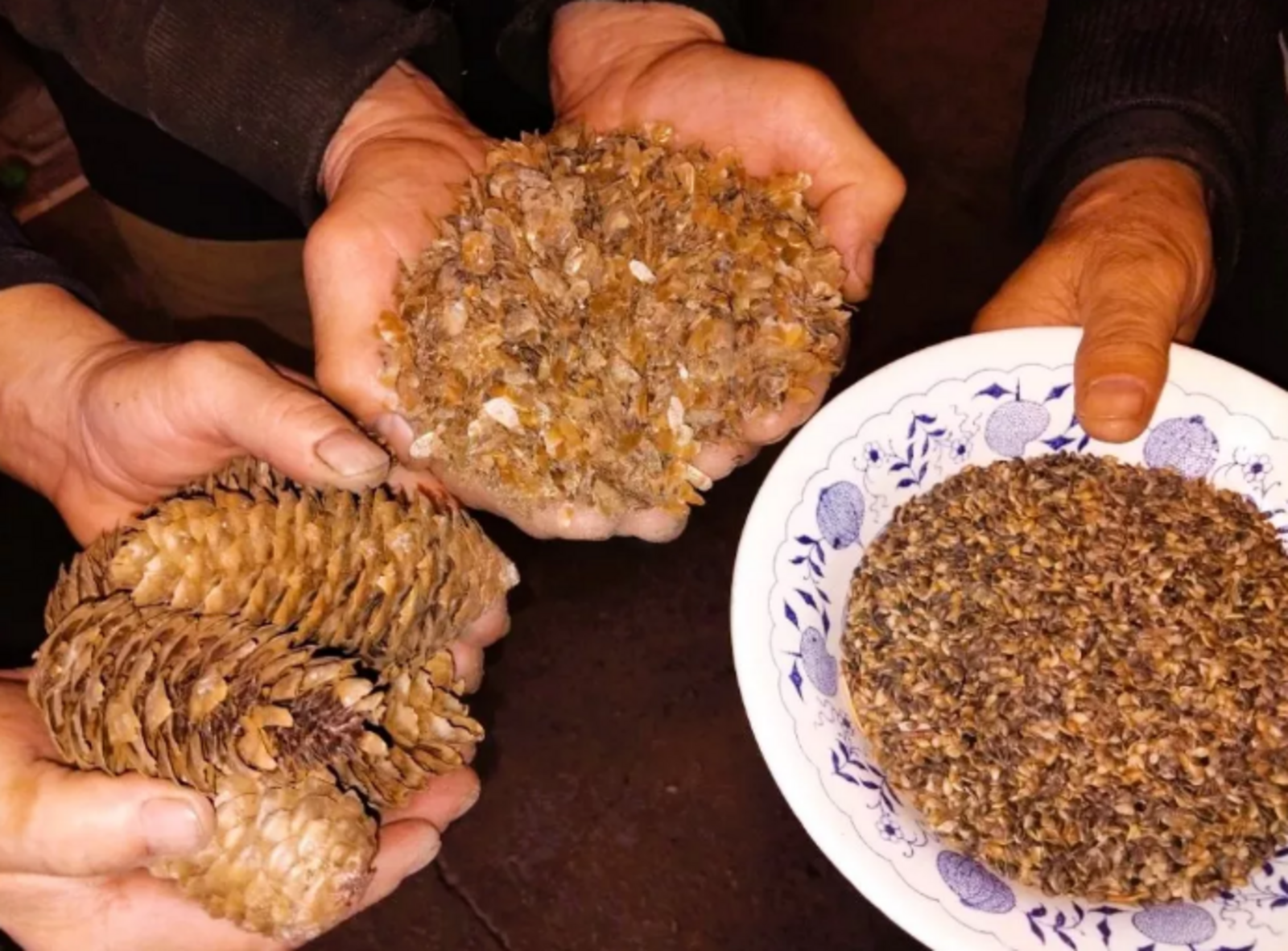 Бураевские лесники к весне переработали 10 тонн сосны и 6 тонн сибирской ели