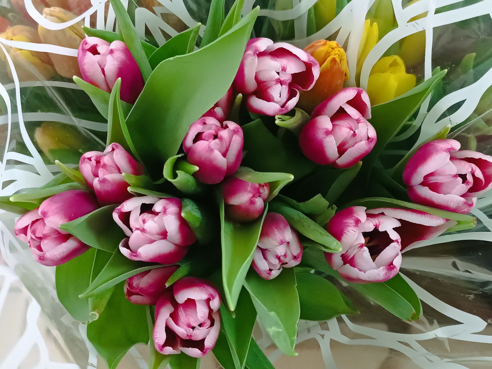 Низкий поклон за заботу и доброту