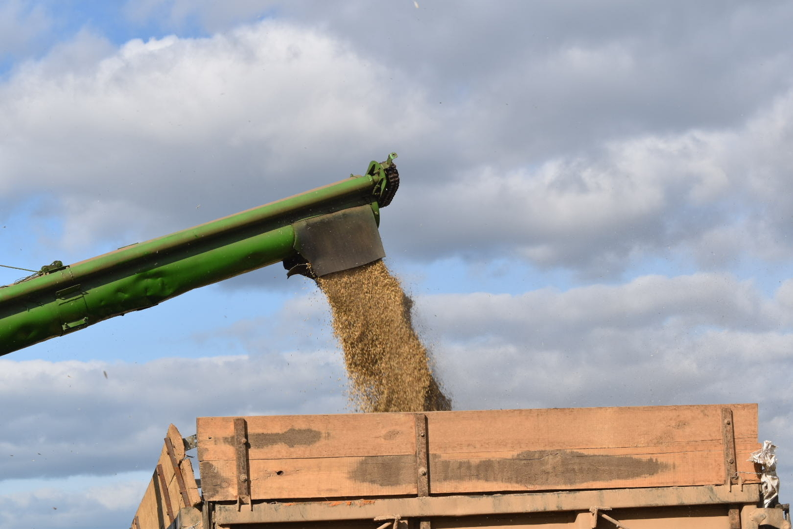 Башкирия экспортировала в Казахстан 4724 тонны продовольственной пшеницы