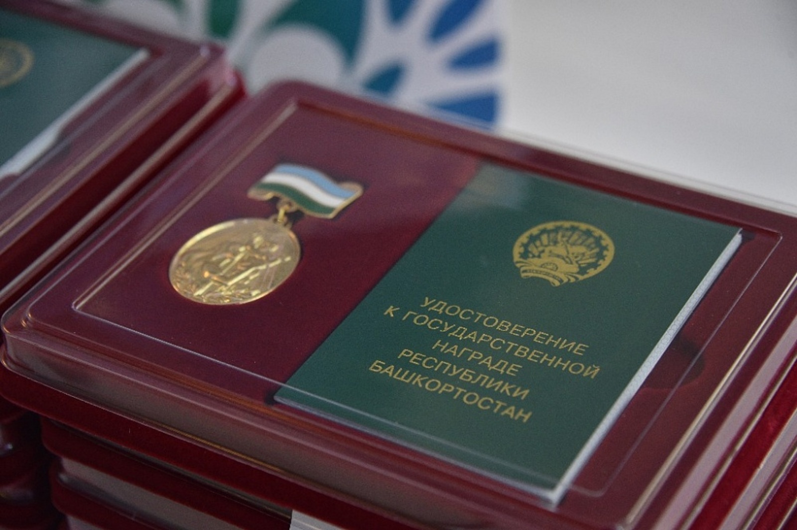 В Башкортостане награжденным медалью «Материнская слава» увеличили выплату