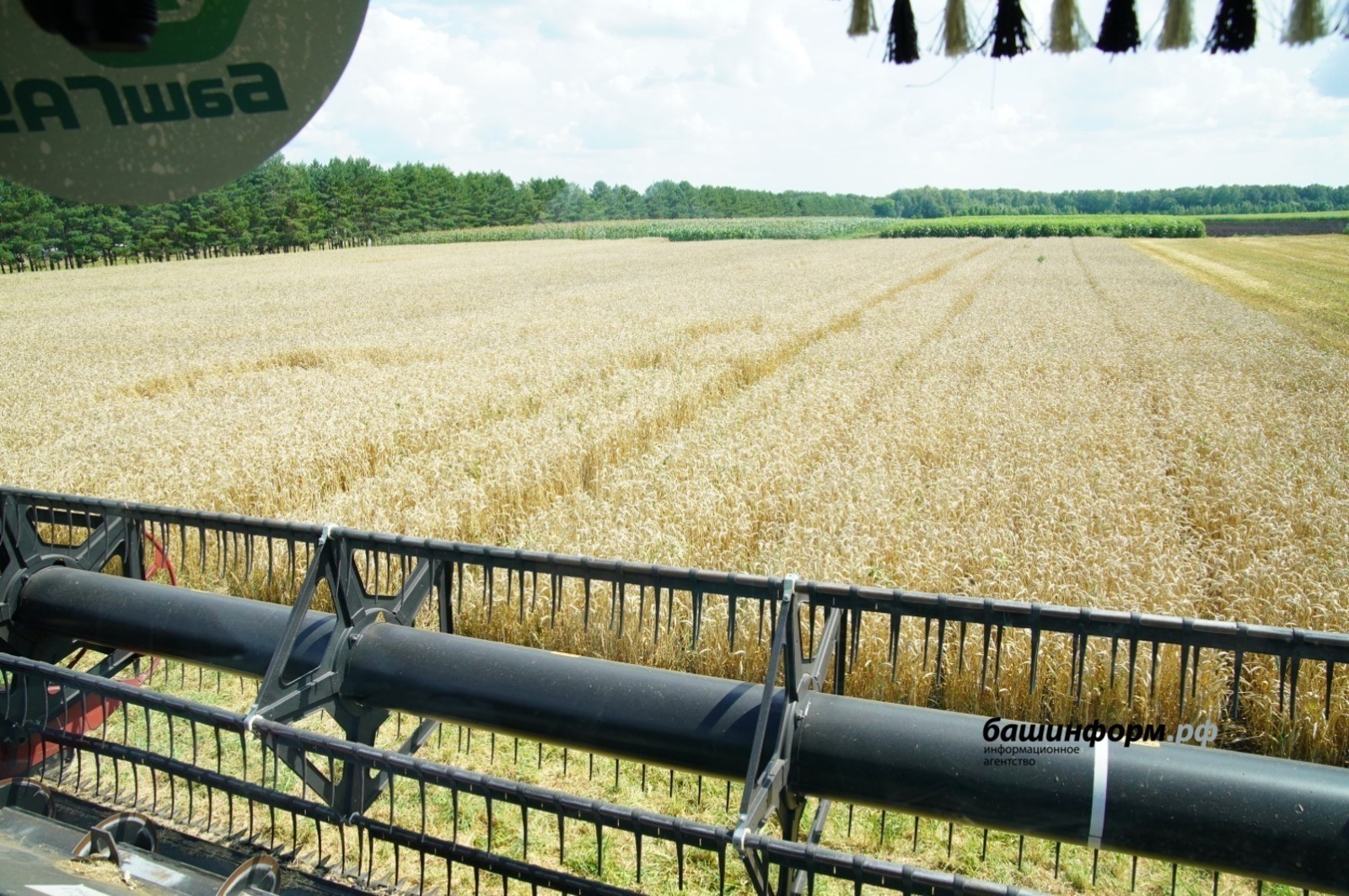 Башкирское зерно востребовано в Казахстане