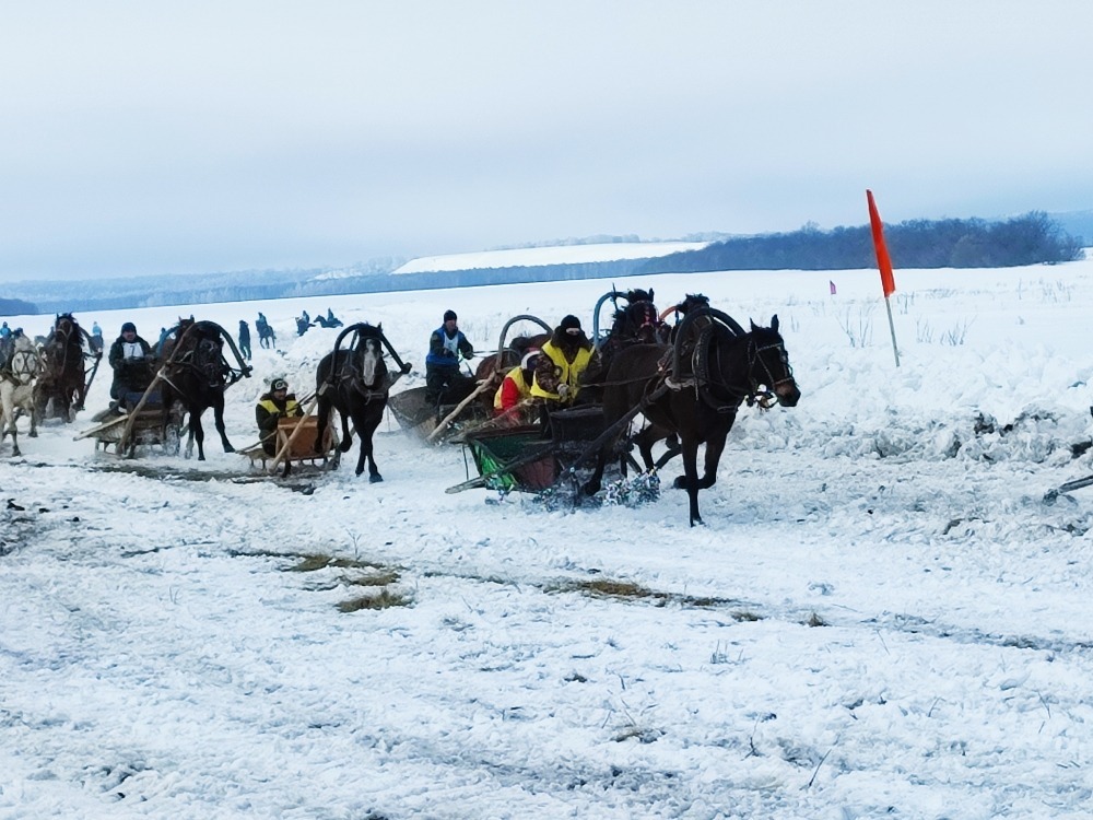 В Альшеевском районе прошли захватывающие зимние конноспортивные скачки