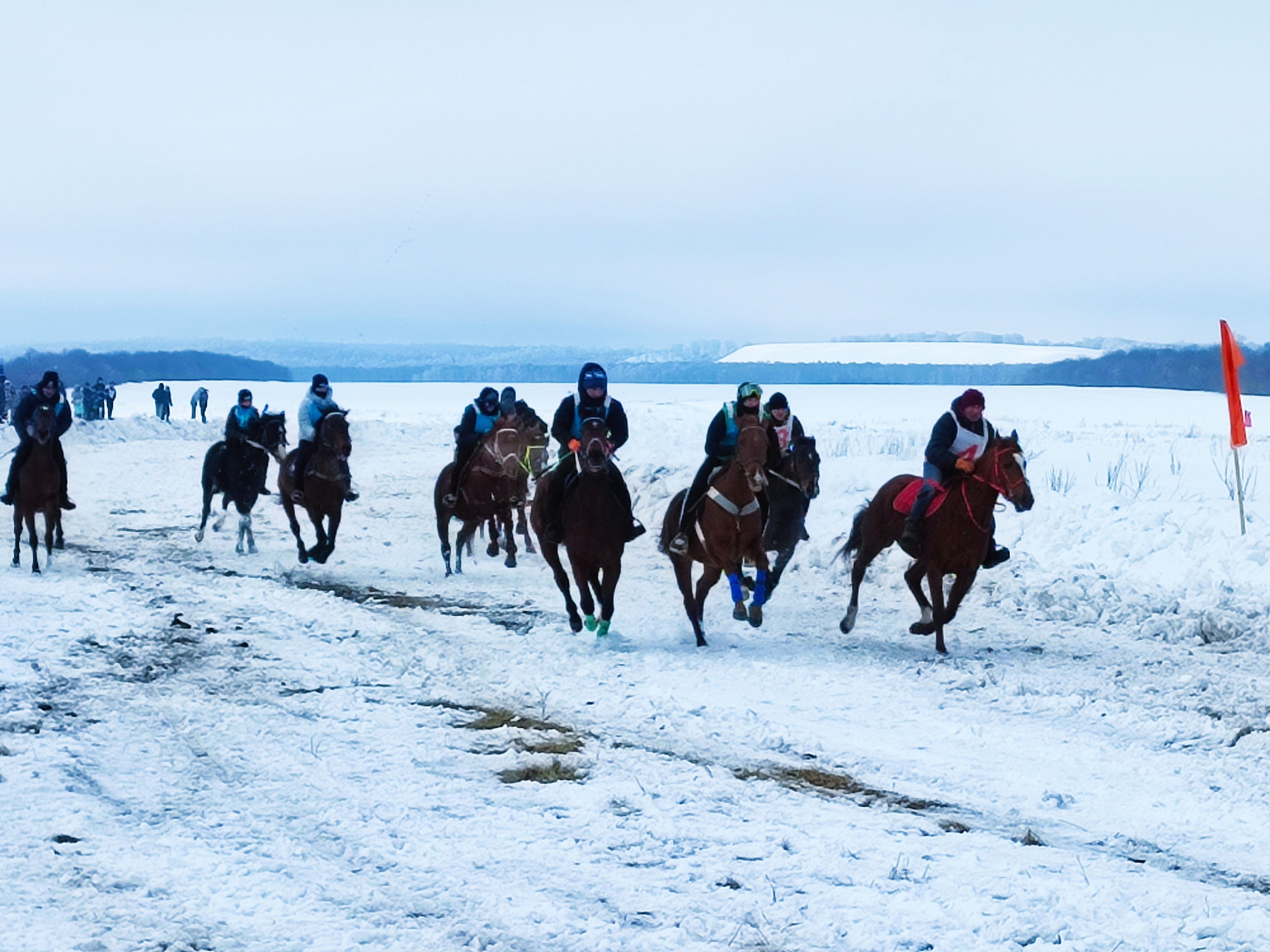 В Альшеевском районе прошли захватывающие зимние конноспортивные скачки