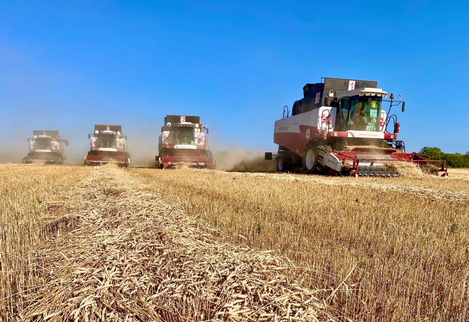 Молодые аграрии Альшеевского района получили господдержку