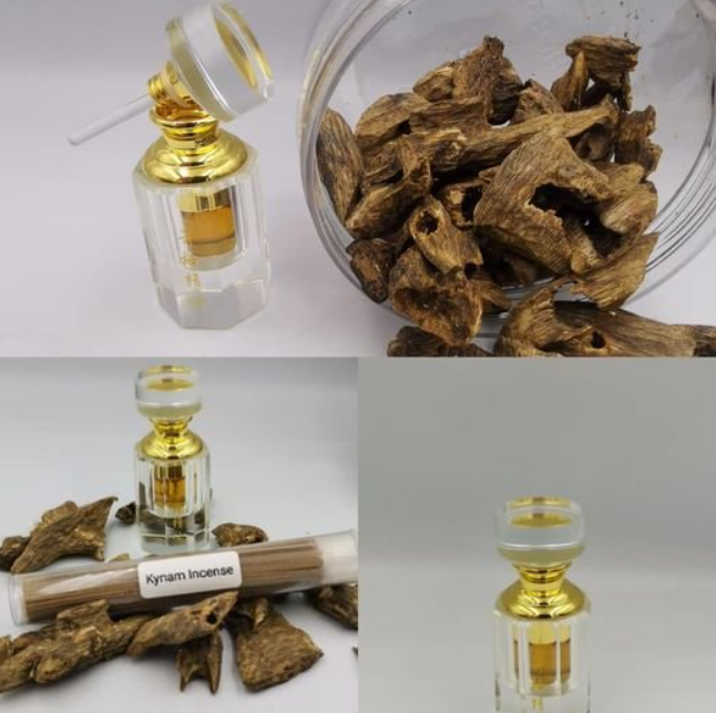 Самое дорогое дерево на планете