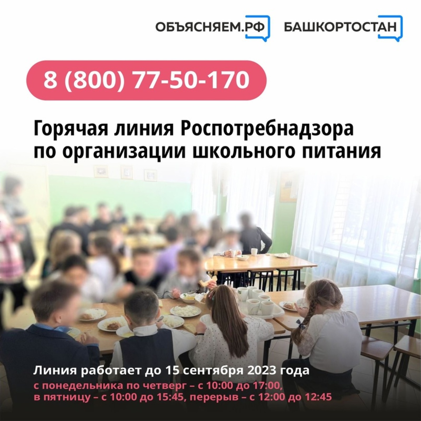 В Башкортостане работает горячая линия по вопросам организации питания в школах