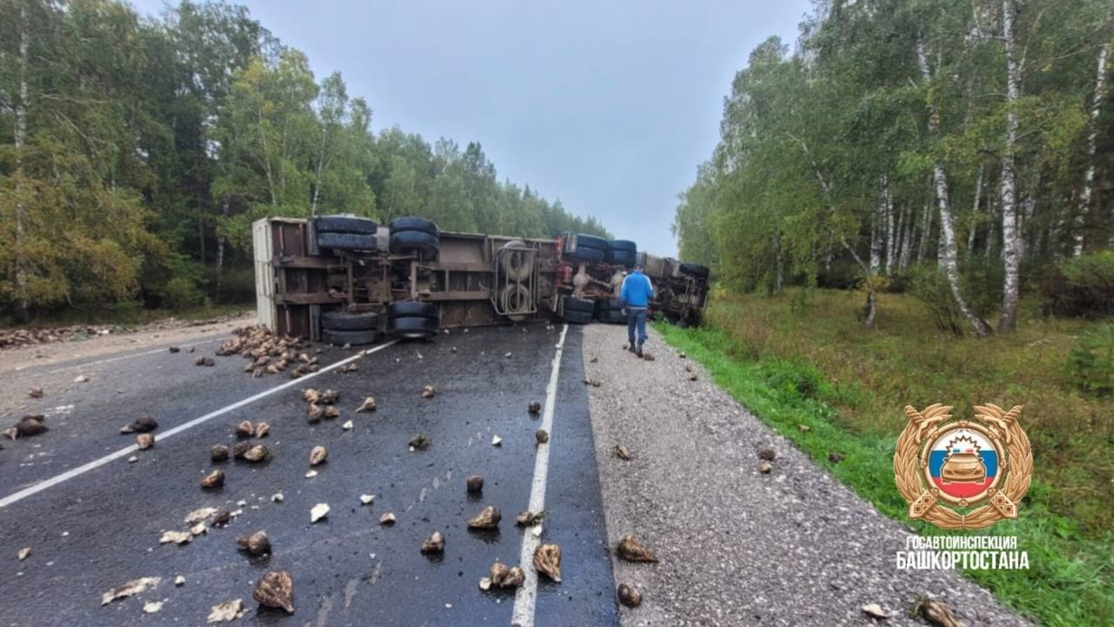В Альшеевском районе на дороге опрокинулся грузовик с сахарной свеклой