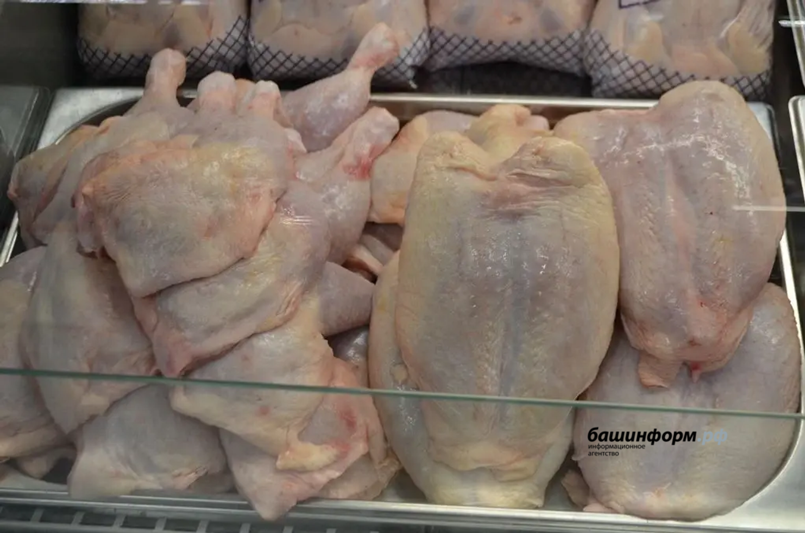 Птицефабрика из Башкирии экспортировала в Узбекистан новую партию мяса кур