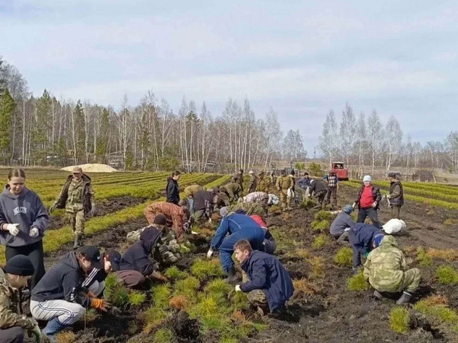 Радий Хабиров рассказал, что в лесных питомниках республики идет активная работа